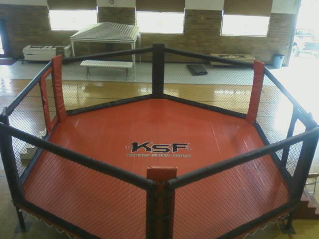 Hexagon MMA Cage | United States | Rings and Cages