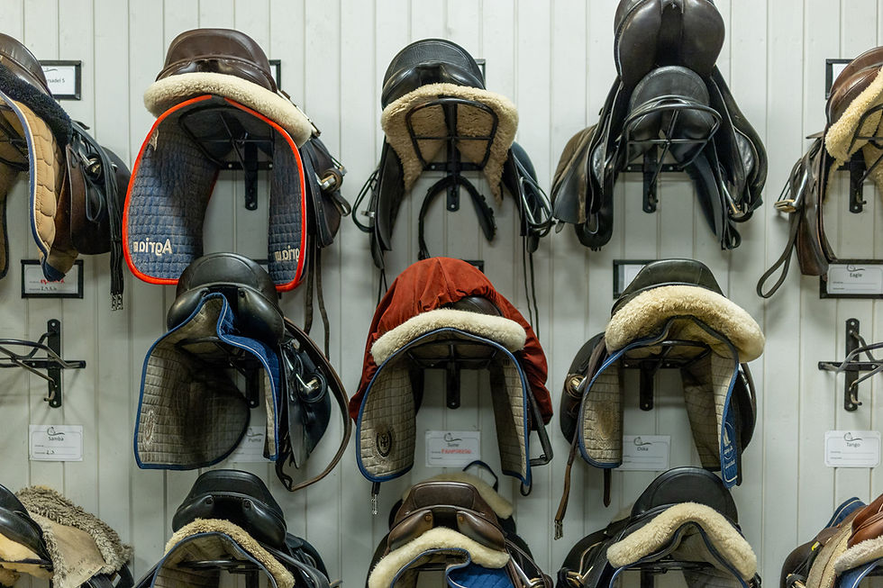 STALL-195.jpg
