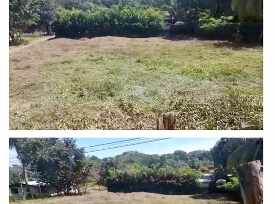 Matapalo _ Playa Grande.png
