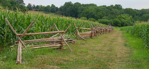 Monmouth Battlefield