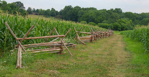 Monmouth Battlefield