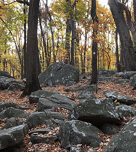 Monmouth Militia Join Continental Army to Shadow British Retreat