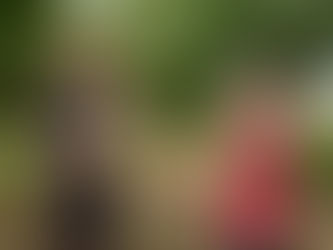 Coaching sportif à domicile : est-ce fait pour vous ?