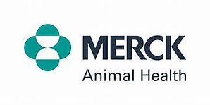 merck.jpg