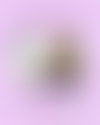 Rediseño de Creencias - Psich-K