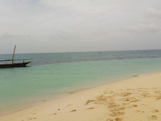 Excursión a isla Kwale (Safari Blue). Zanzíbar (Tanzania)