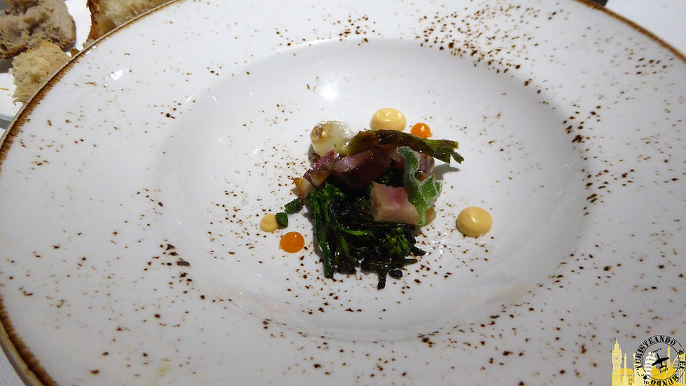 Restaurante Nova. Ourense (Galicia)