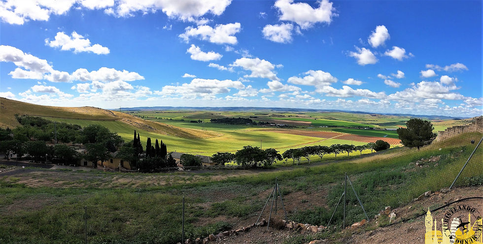 Yacimiento de Alarcos (Ciudad Real)