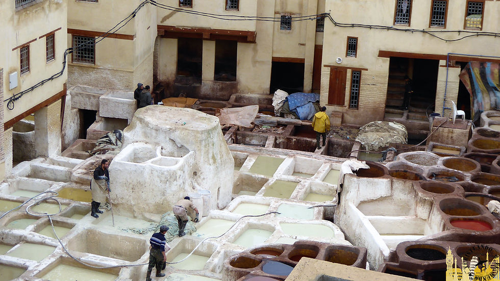 Curtidurías, Fez (Marruecos)