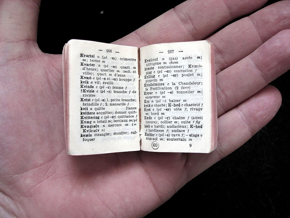 Picture of a hand holding a mini dictionary.