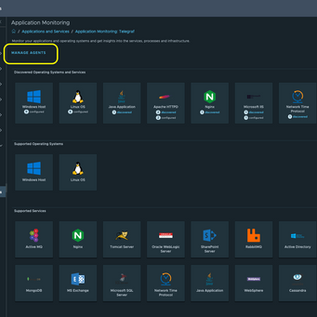 Monitoring Windows Services/Processes and Linux Processes with VMware Aria Operations