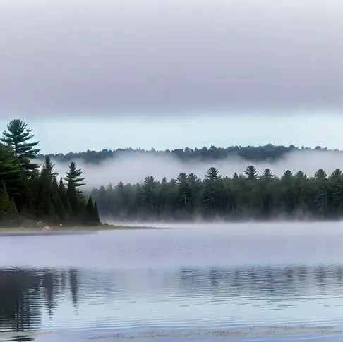 Everything you wanted to know about VM Snapshots in Aria Operations