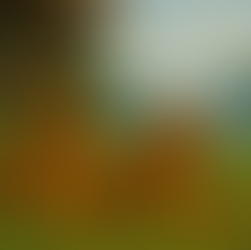 Converting Property Strings to Metrics in VCF Operations