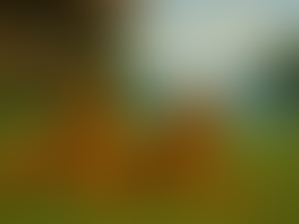 Converting Property Strings to Metrics in VCF Operations