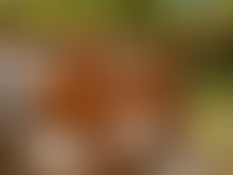 vSphere Tags and Custom Attributes in VCF Operations