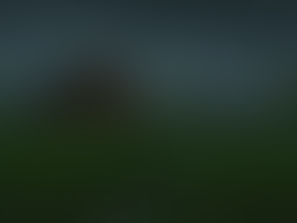 Delete Certificates from the VCF Operations 9 Fleet Manager API