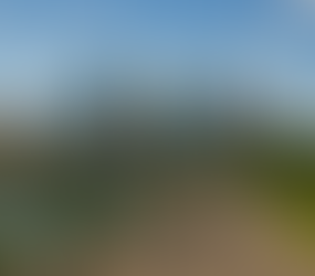 vSphere Cluster Custom Attributes in VCF Operations