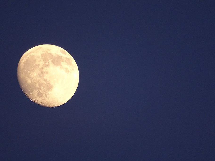 luna.JPG