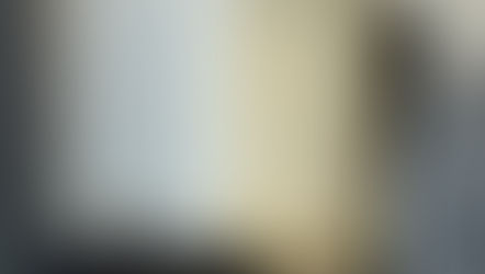 Newsletter January 2026