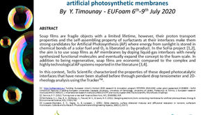 Let's talk about Interfacial characterization of soap films!