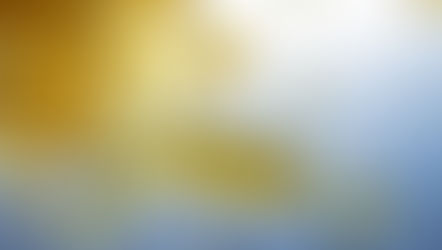 Become an expert in Liquid foams and emulsions