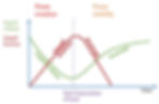 parameters of foams