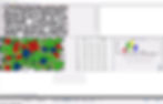 bubbles size and distribution analysis