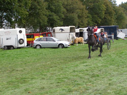 2014 09 Flaeijlfeesten 083 (1024x768).jpg