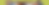 SCOH (1).png