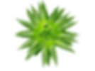 website_thumbnail_9.png