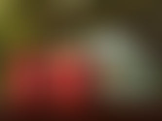 Como proceder com o orçamento?