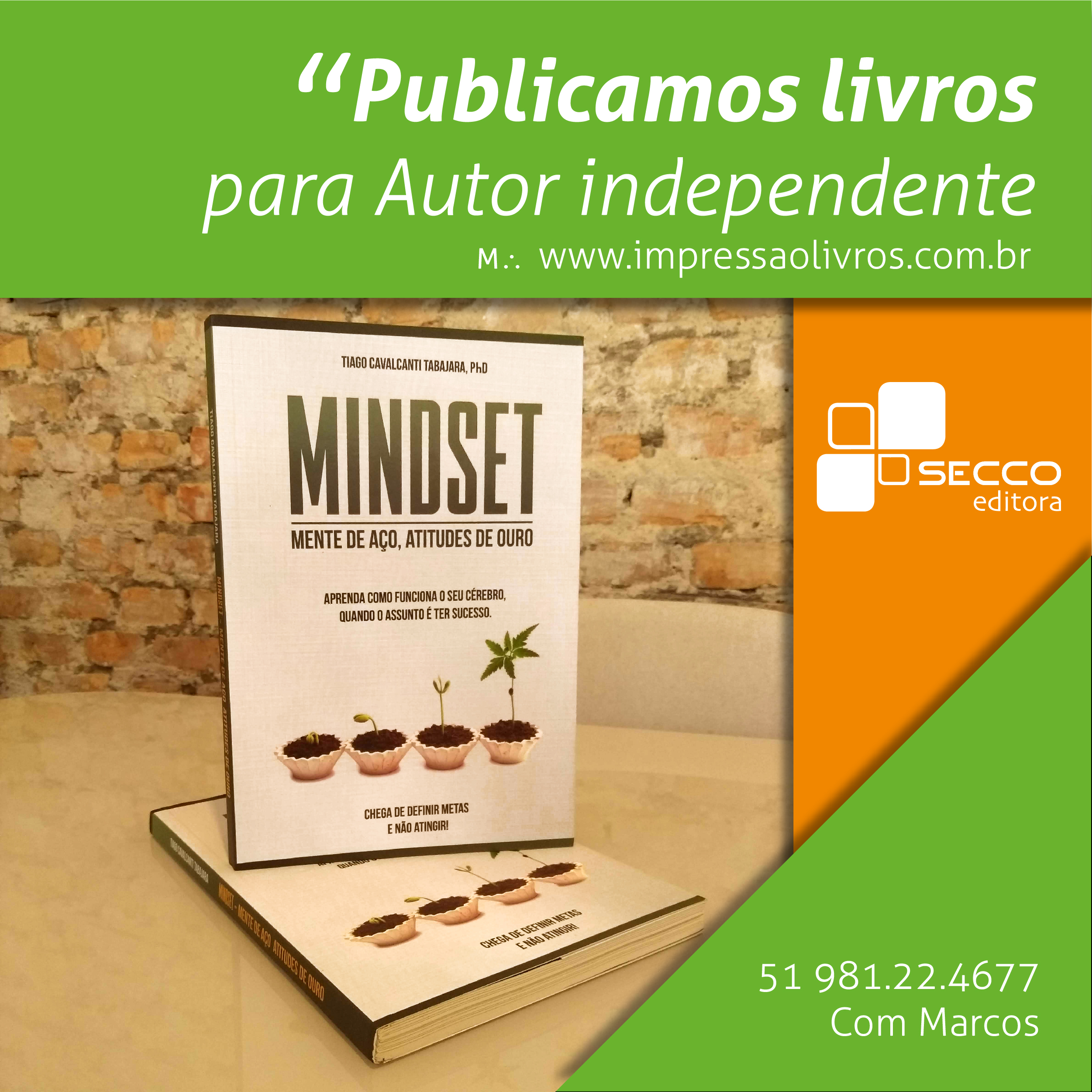 Publicação de Livro e Impressão