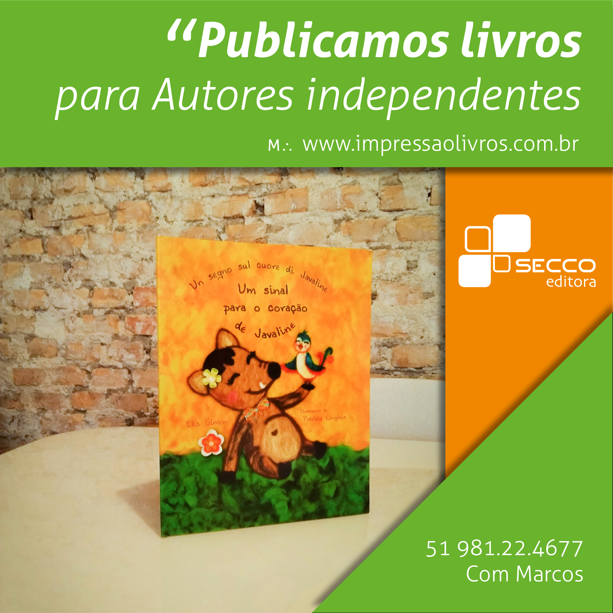 Publicação de Livro e Impressão