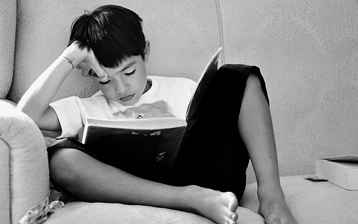 S2C e Secco Editora -Blog publicação livros