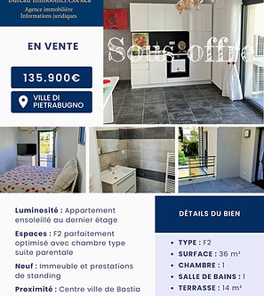 Document A5 Flyer Vente Agence Immobilière Professionnel Moderne Bleu (1)_edited.jpg