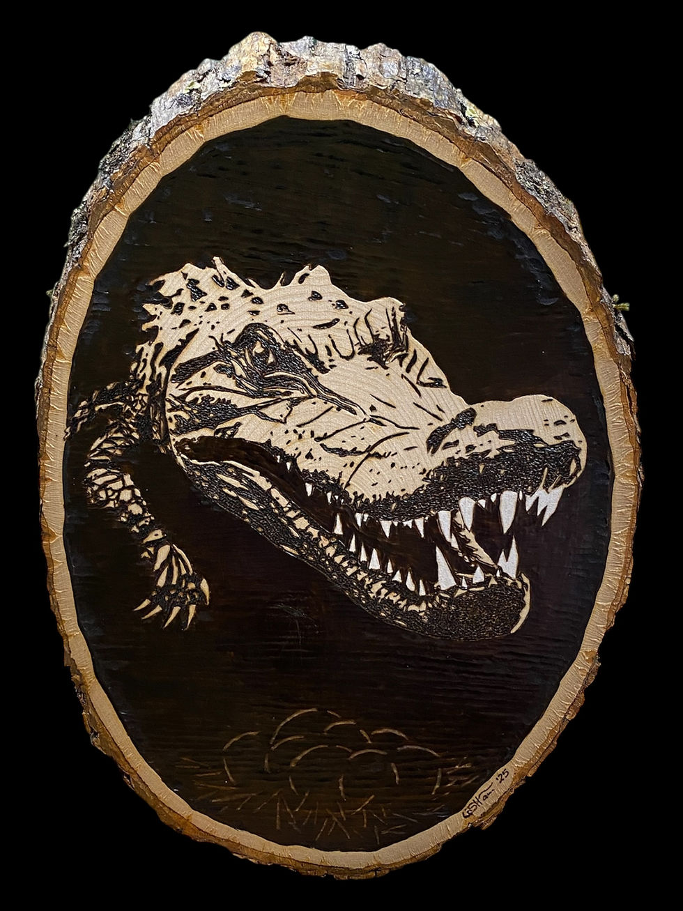 Woodburned crocodile art, fierce grin on a black background 
