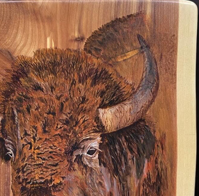 Thumbnail: Top right horn of buffalo