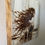 Thumbnail: Wood-burned artwork depicts a woman with flowing hair