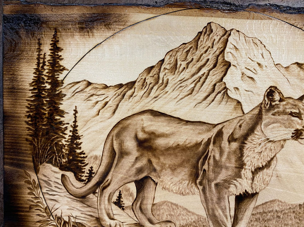 Thumbnail: close up of mountain lion body