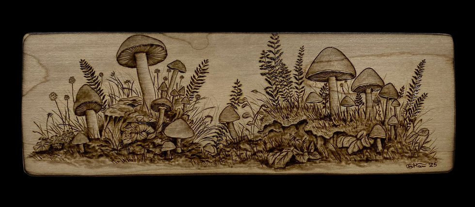 The mushroom wood art piece with a black background 