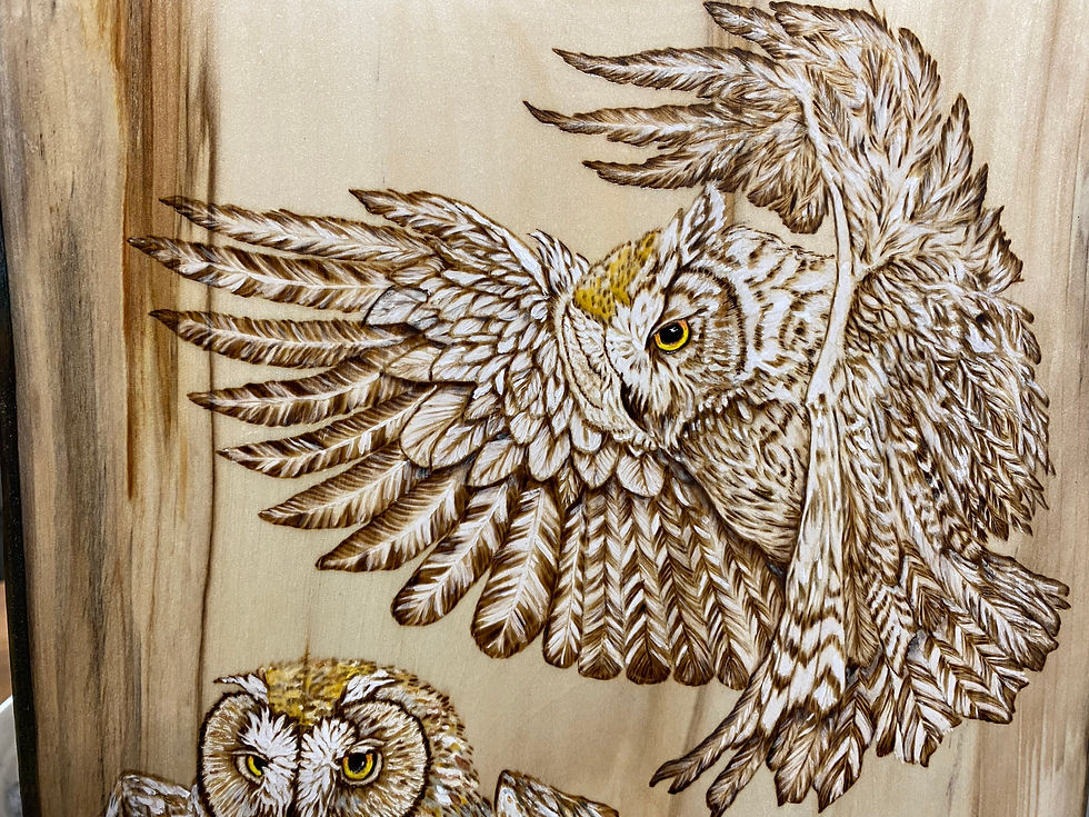 Thumbnail: Intricate woodburning depicts owls