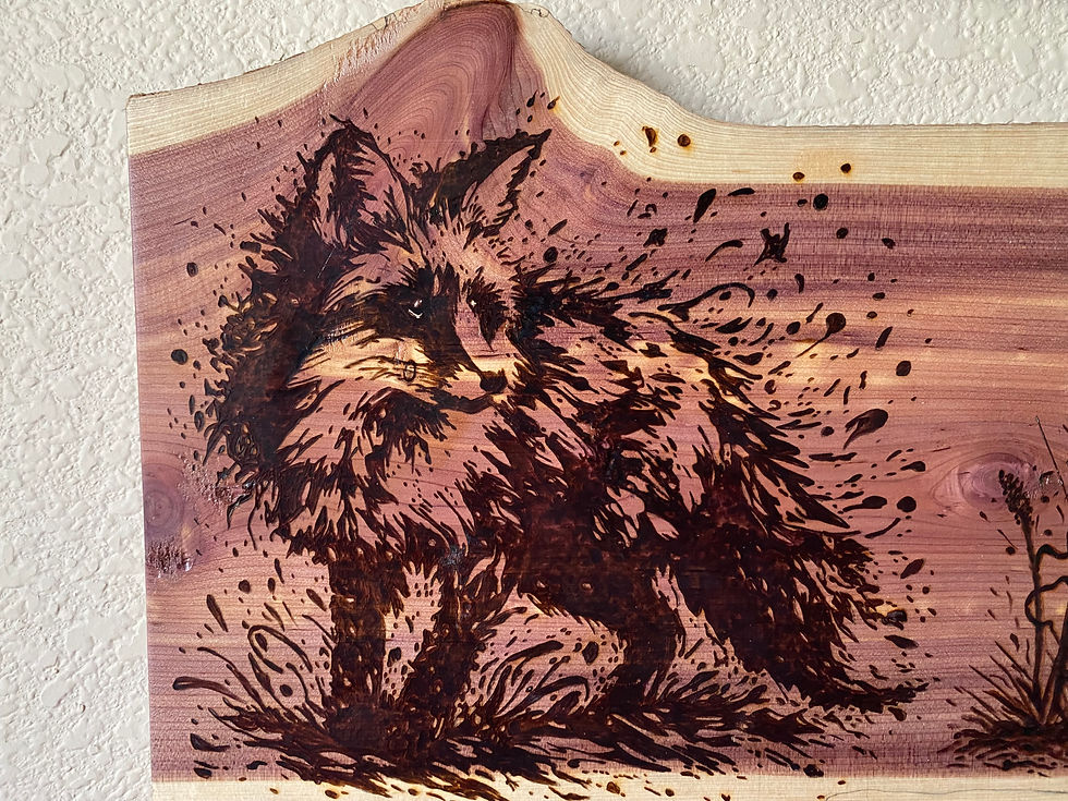Thumbnail: fox close up