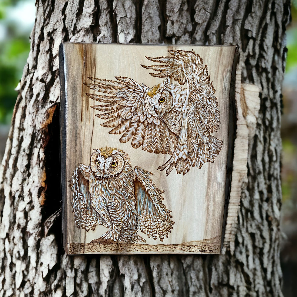 Thumbnail: Two owls wood burning art depicts owls in flight and perched
