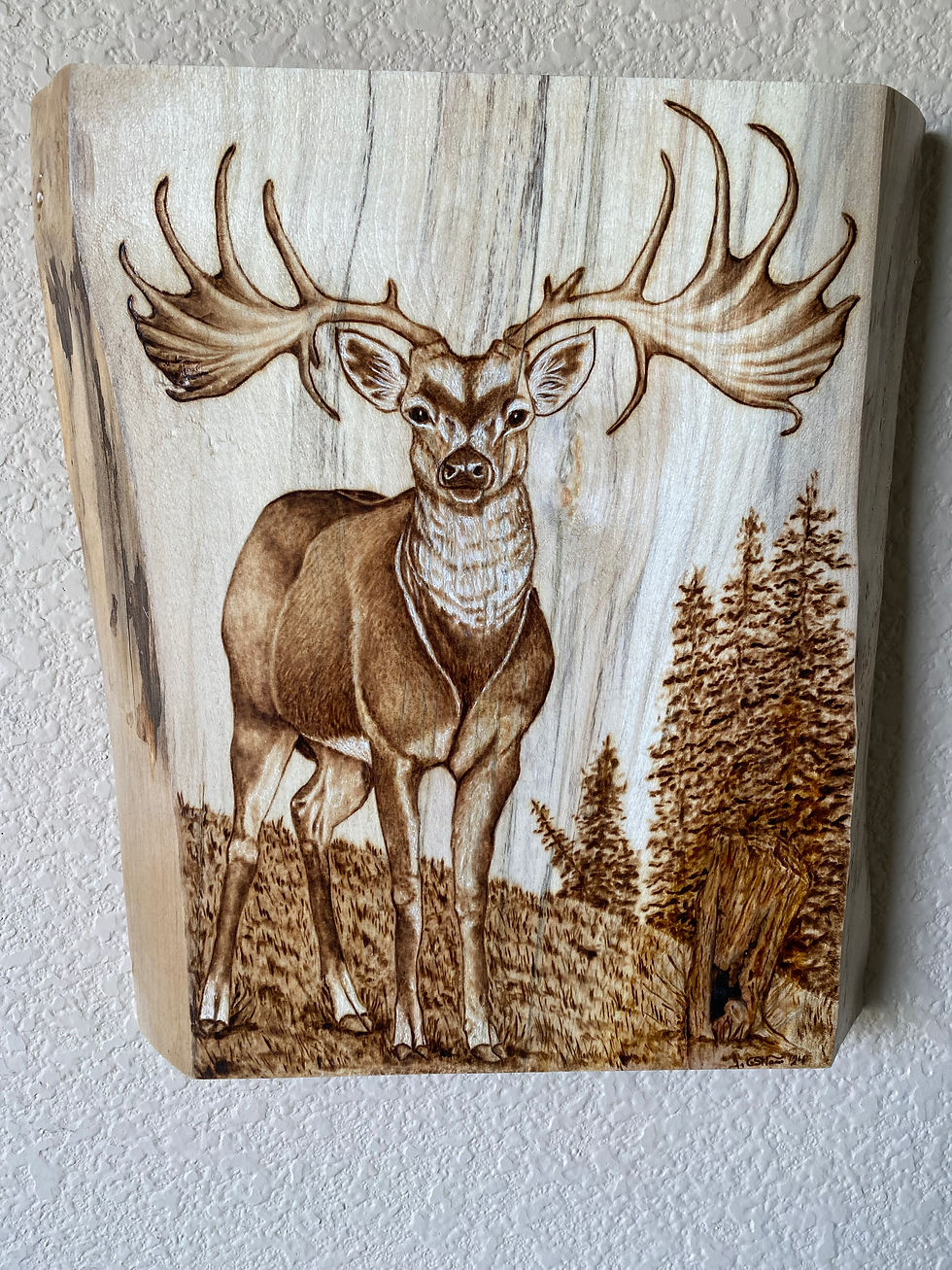 Thumbnail: Majestic deer wood burning art