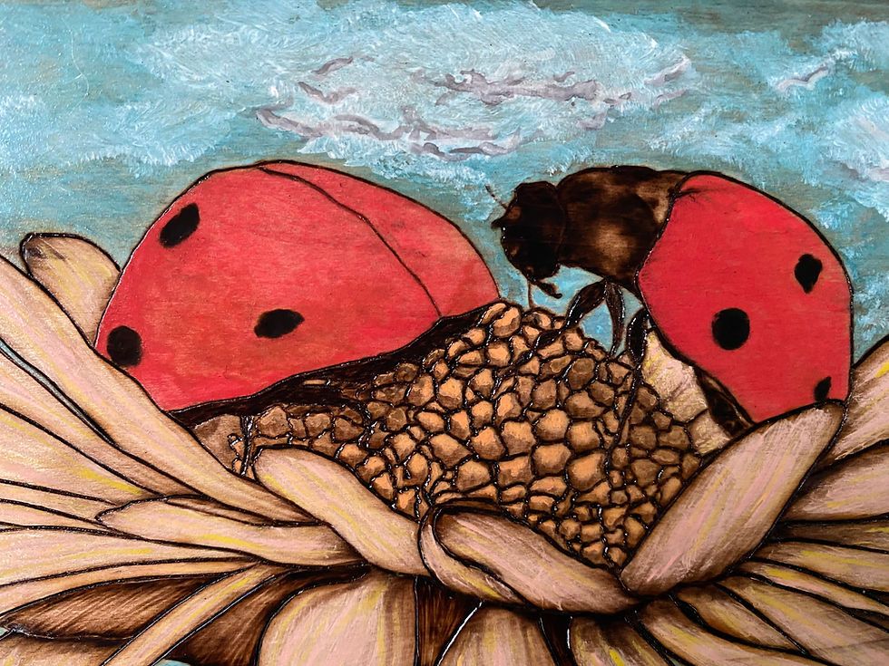 Thumbnail: Two ladybugs on a flower; wood burning art