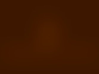 Grand Opening: Ember & Stitch Opens December 16th