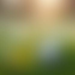 Awakening Spring: Harnessing the Majick of Silver Bells for Imbolc and Ostara