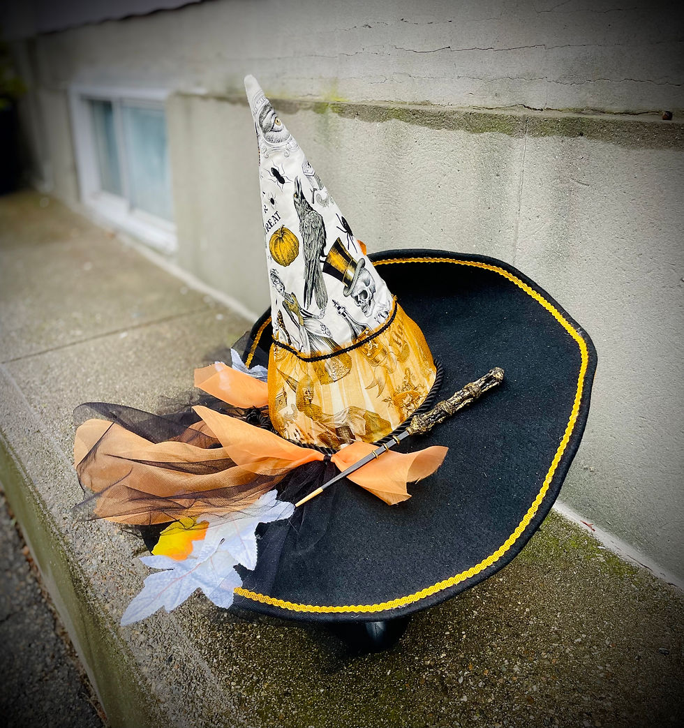 Thumbnail: Witch Hat "Trick or Treat", handmade