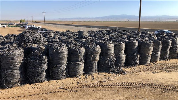 Rolled_ Staged Drip Irrigation.jpg