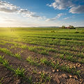 agriculture.jpg